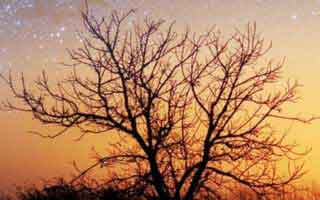 关于99tk的一个误区被反复传播：真相其实是你看到的是被筛选的信息：别被‘限时’催促