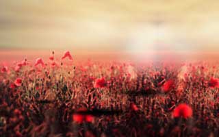 被99tk诱导下载后怎么办？手机自检的7个步骤：越早止损越省心